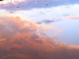 日本の田舎の風景　7月　空を写す田んぼの夕景