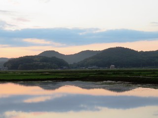 Fototapeta na wymiar 日本の田舎の風景　7月　空を写す田んぼの夕景