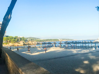 Obraz premium Tropical palm tree on sandy beach background, people sunbathe and swim in sea