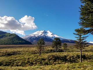 Volcano at Corralco park Chile