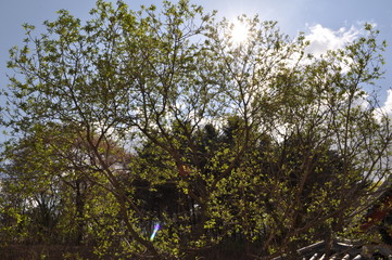 한국의 전통 건축, 한옥, 전통스타일