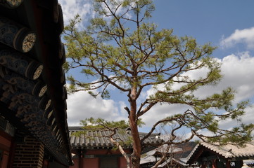 한국의 전통 건축, 한옥, 전통스타일