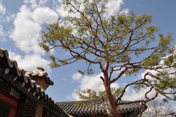 한국의 전통 건축, 한옥, 전통스타일