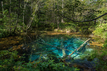 北海道清里町の神の子池