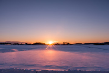 北海道の雪原の朝日