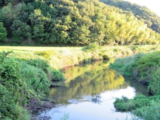日本の田舎の風景　7月　川辺の夕景