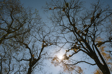 A collection of outdoor activity in the beautiful nature