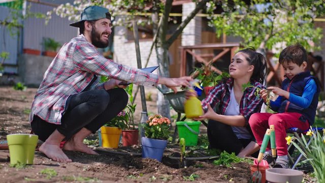 In the sunny day in the middle of the garden smiling large parents enjoying the time with their little son playing with water and planting flowers same time. Shot on ARRI Alexa Mini