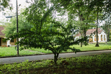 Um Passeio pela fazenda, desbravando a natureza