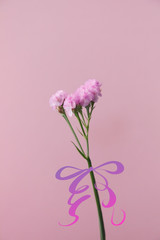 For You ２輪の赤いカーネーションと白い背景の写真 Wall Mural Sushi Studio