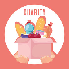 charity donation box with groceries