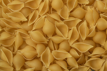 Texture of raw pasta in the form of mini shells