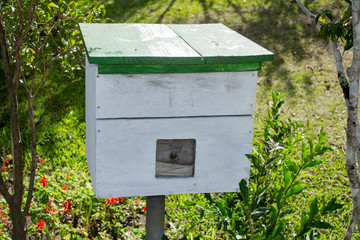 Wooden beehive in a flower garden lit by the sun