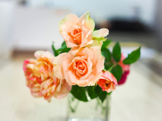 The beautiful roses in my garden bloom in the morning sun.