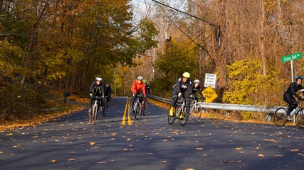Cyclists riding on a fall lined road