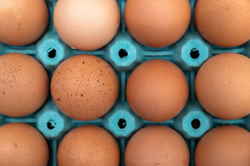 Chicken farm eggs in a blue box 