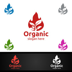 Fire Natural and Organic Logo design template for Herbal, Ecology, Health, Yoga, Food, or Farm Concept