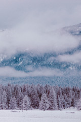 winter landscape in the mountains