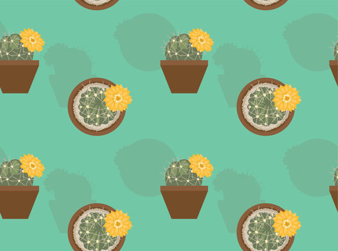 Acanthocalycium Thionanthum Succulent Cacti Vector Seamless Background Wallpaper-01