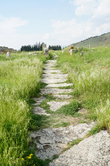 Fototapeta na wymiar Beautiful Roman ancient ruins of hierapolis Pamukkale with meadow field