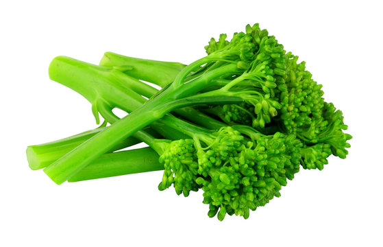 Group Of Fresh Steamed Tenderstem Broccoli Isolated On A White Background