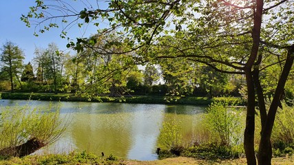 lake in the park in germany