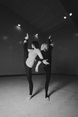 The women sat down on the twine. classes in the fitness club. the two girl is engaged in recreational gymnastics. sports exercises and stretching: athletics