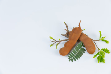 Fresh tamarind isolated on white background