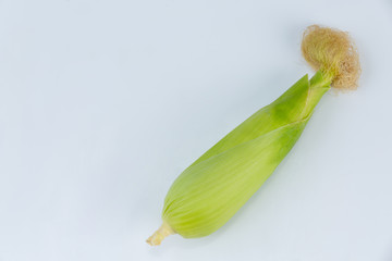 Corn  in the pod isolated from corn field on white background.