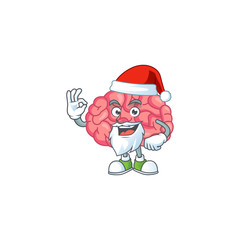 Friendly brain Santa cartoon character design with ok finger