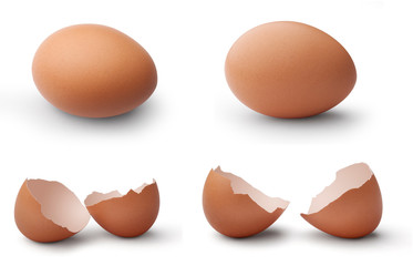 Eggs and shells