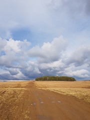 A dirt road in the spring field