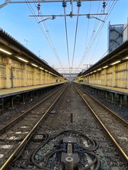 Fototapeta premium line