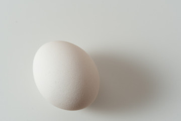 タマゴ