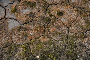 Dry, cracked earth in the polar tundra.