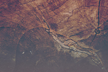 wood floor abstract texture background