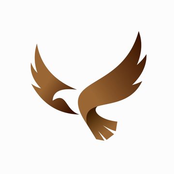 condor vector logo, bird logo design