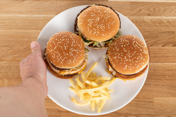 Tasty burger and fries