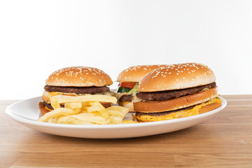 Tasty burger and fries