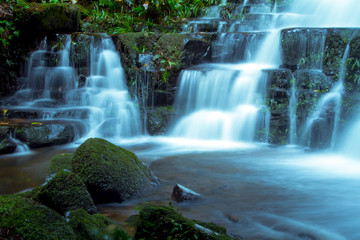 Obraz premium waterfall in the park