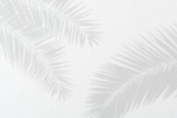 Creative layout tropical leaves on empty white cement concrete material wall texture background. Minimal summer exotic concept with copy space