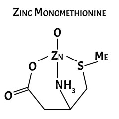 Zinc monomethionine is a molecular chemical formula. Zinc infographics. Vector illustration on isolated background.