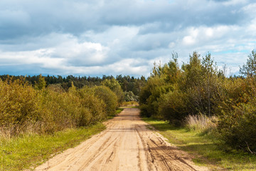 Rural landscape with the dirt road.