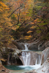 紅葉の西沢渓谷