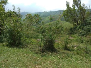 path in the mountains