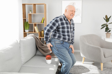 Elderly man near sofa with cactus at home. Hemorrhoids concept