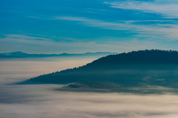 fog through the trees at sunrise