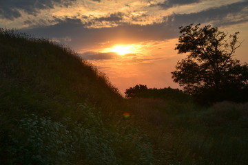 Obraz premium silhouette of tree near the hill in background under sunset sky