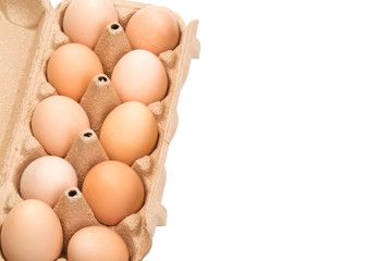  chicken eggs in an open cardboard box with eggs isolated on white. Fresh chicken eggs background.