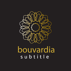 ornament logo gold and silver